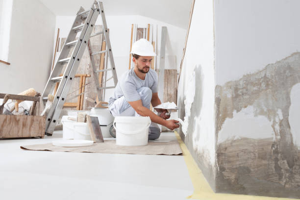 Reliable St James, MN Dry wall and painting Solutions